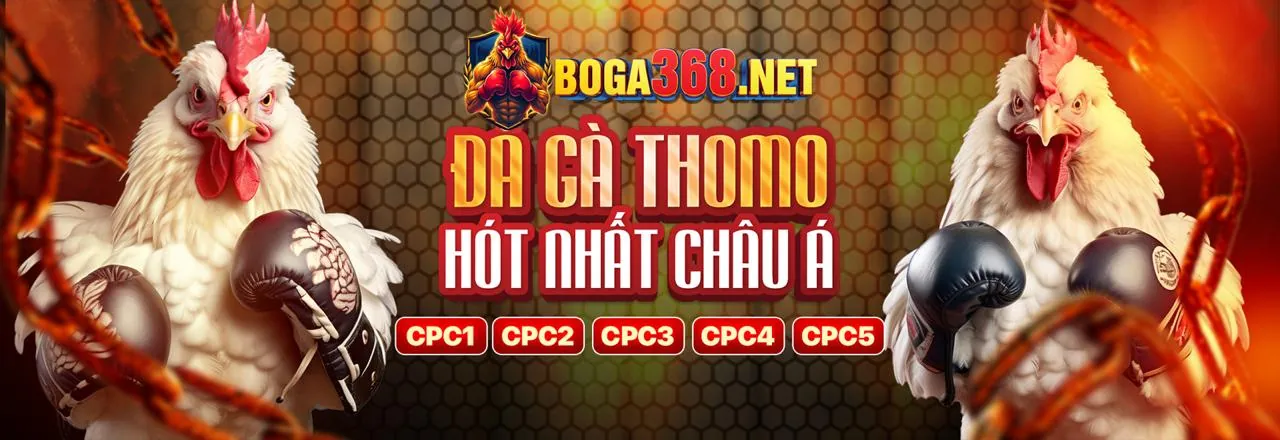 Đội ngũ hỗ trợ khách hàng chuyên nghiệp của 3win code